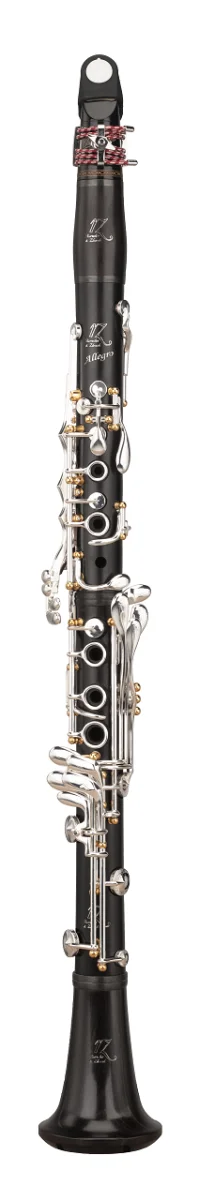 RZ Allegro D RZ-CL5401-0 Bb кларнет
