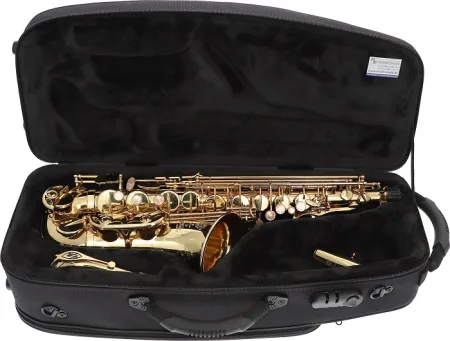 Henri Selmer Paris SA 80 II AE альт-саксофон — фото 4